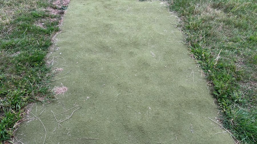Football golf tee at Cricklade House