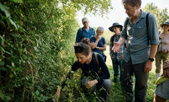 Foraging & Folklore Walk