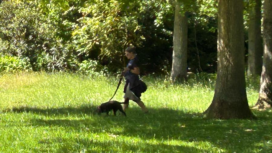 Dog Walker