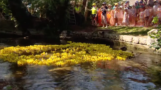 South Cerney Duck Race 2026: sunshine, crowds and one very dramatic finish