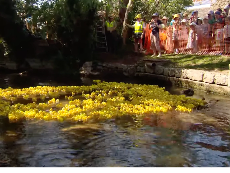 South Cerney Duck Race 2026: sunshine, crowds and one very dramatic finish