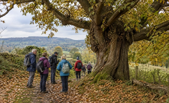 Dursley Walking Festival: A Tortworth Tramp (Medium, 7.7 miles)