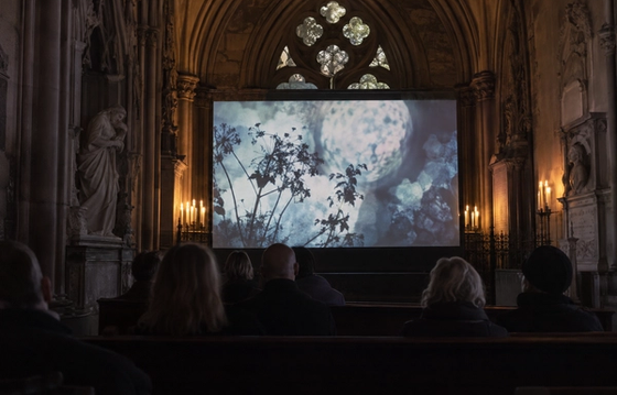 Poetry Films: Saturday