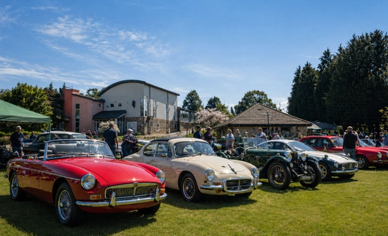 St Rose’s Wheel Nuts Motor Show