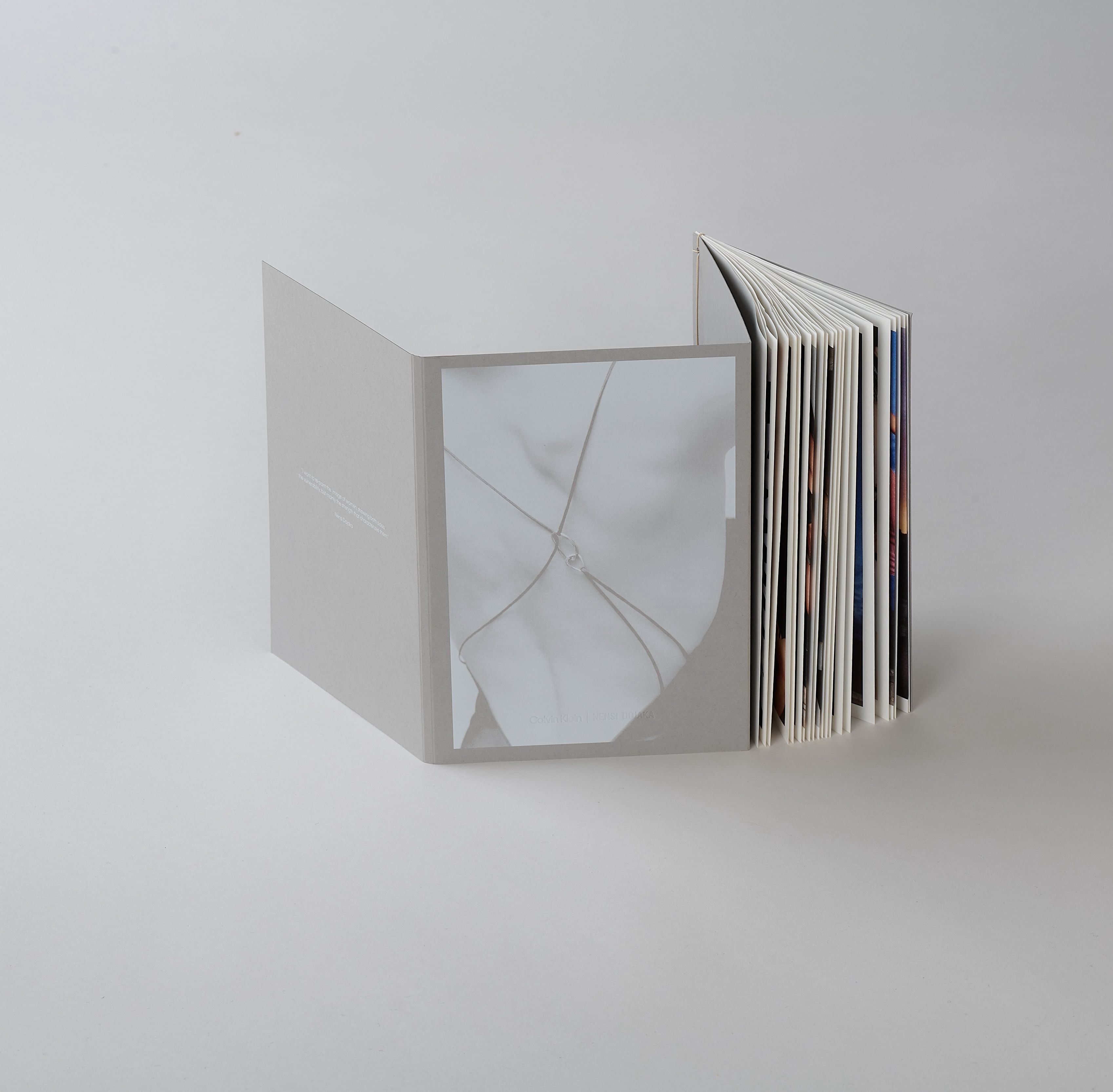 Calvin Klein & Nensi Dojaka Partnership