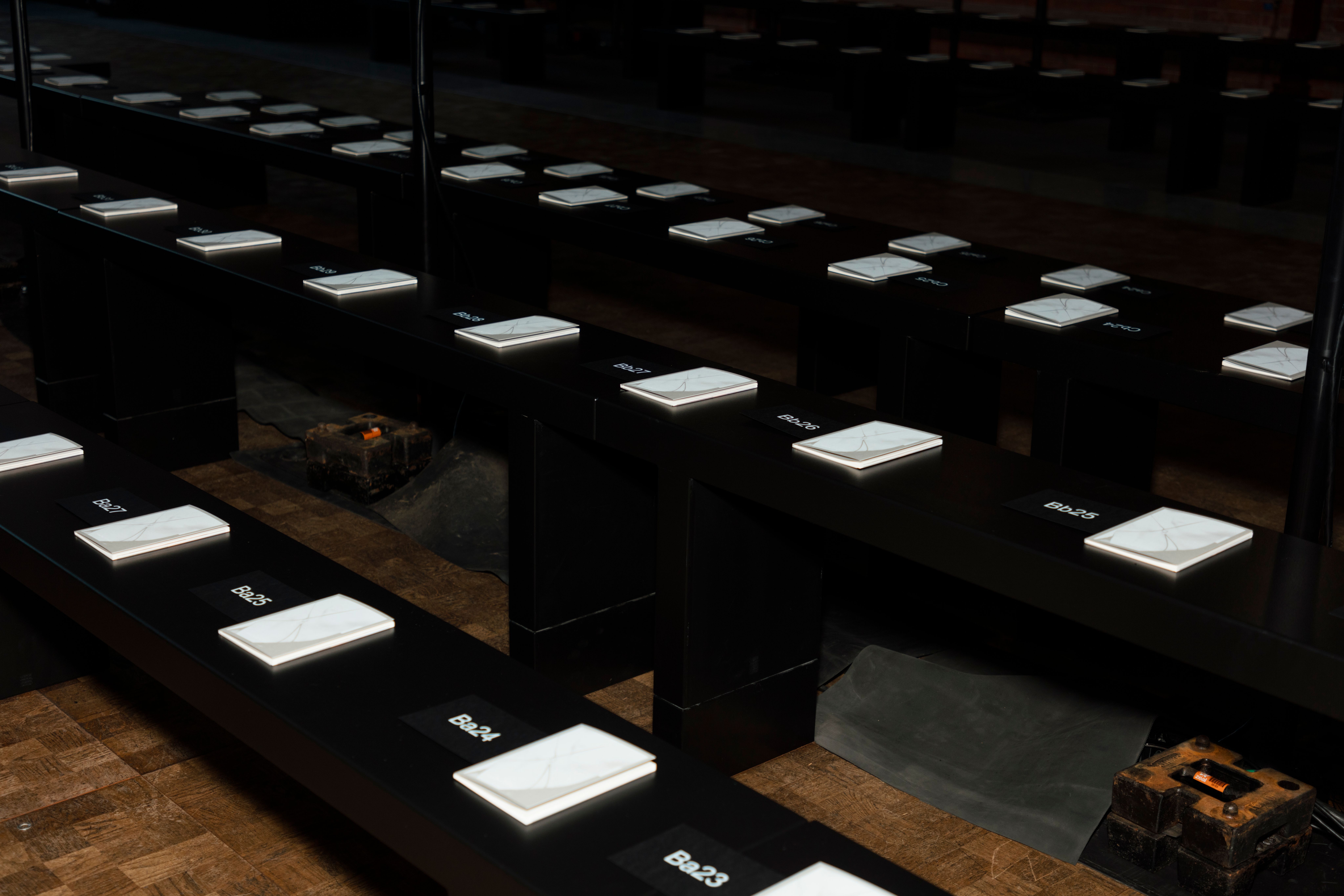 Calvin Klein & Nensi Dojaka Partnership