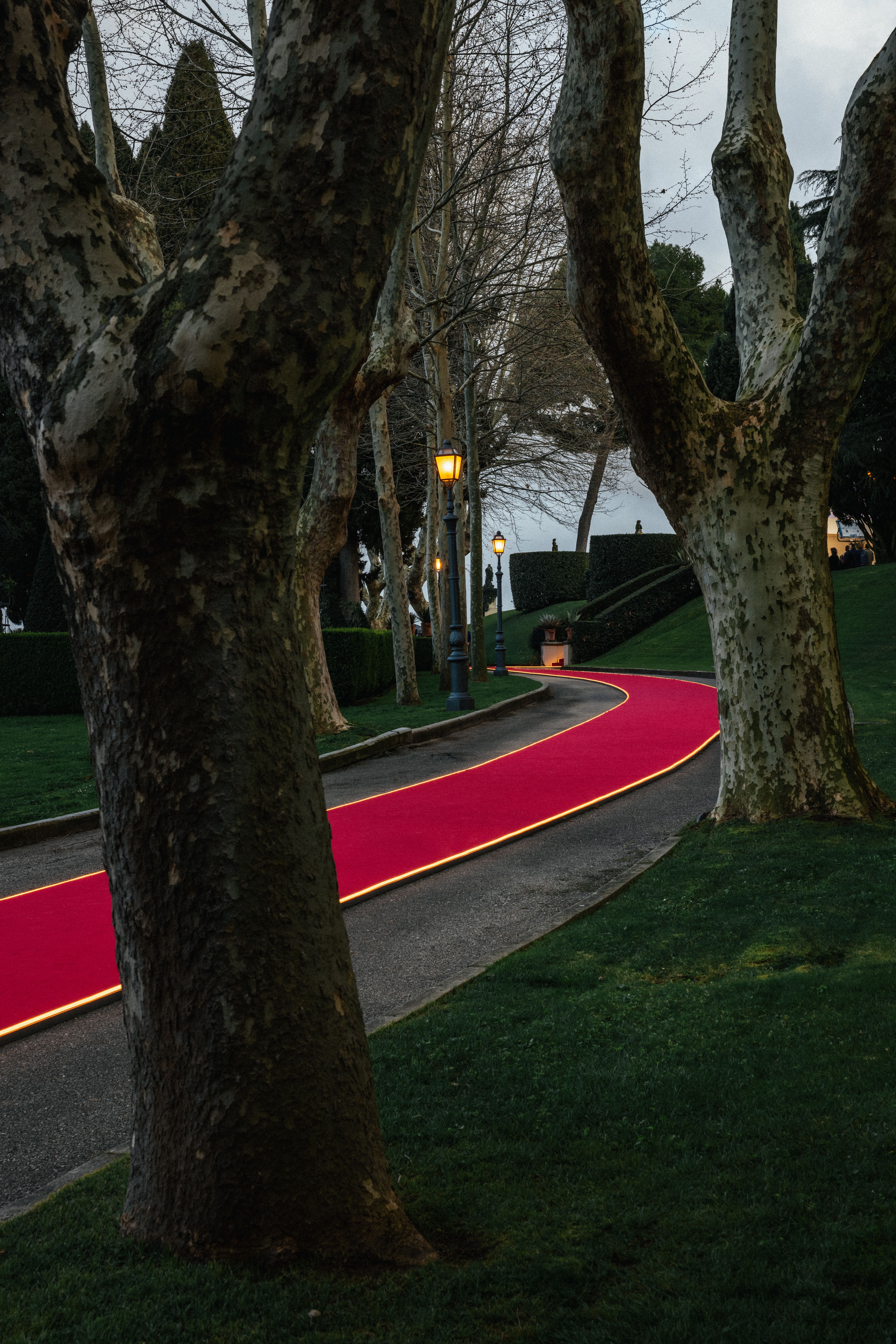 Media for Mercedes-Benz