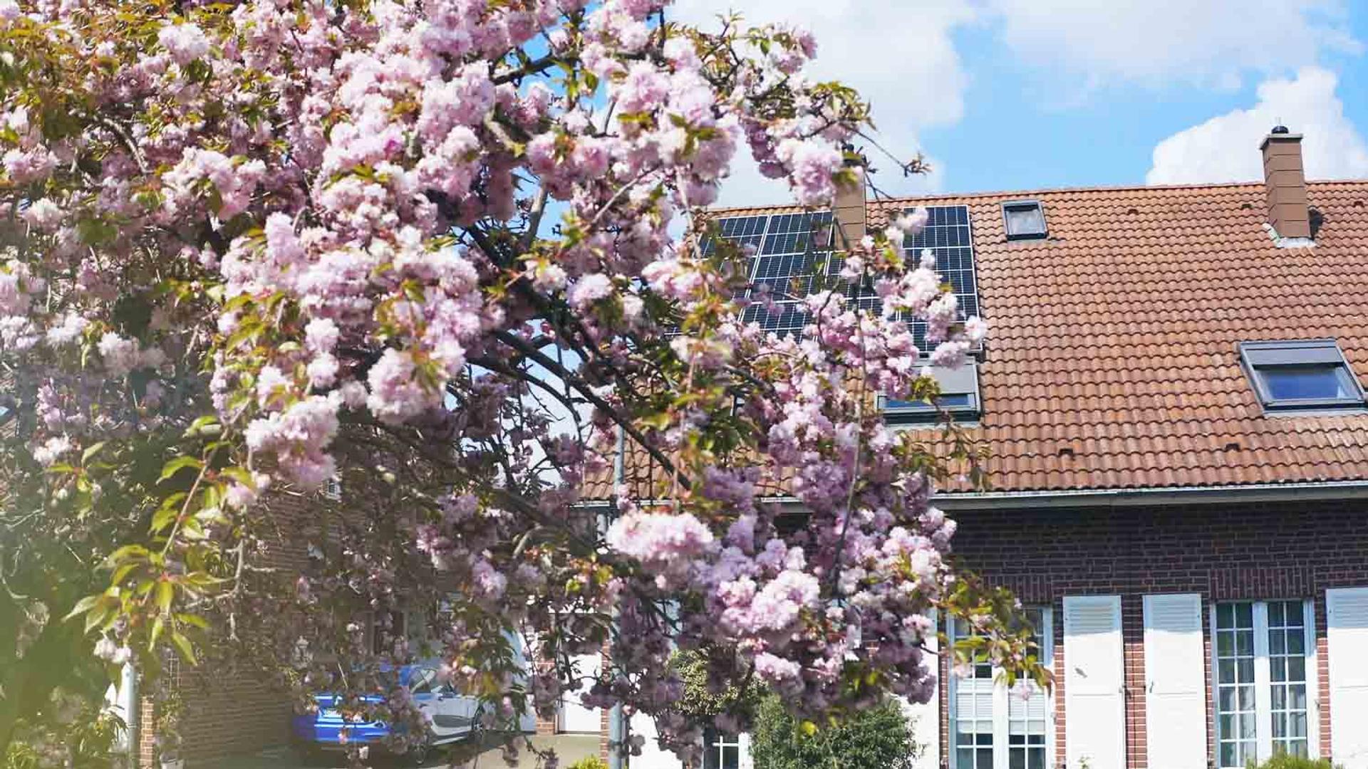 Svea Solar | Produktfilm | Montagevideo Photovoltaikanlage – Bild 4