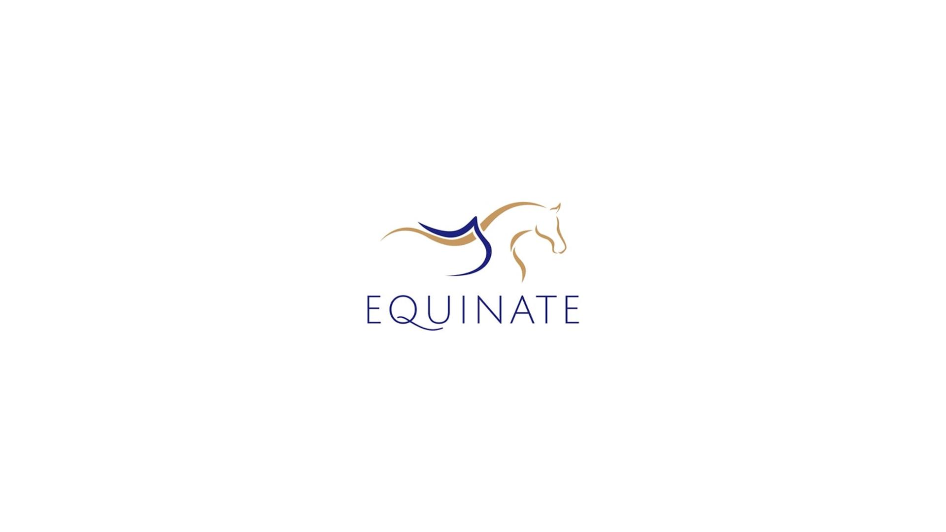 B&Z Handels GmbH | Produktvideo | Equinate Steigbügelriemen – Bild 6