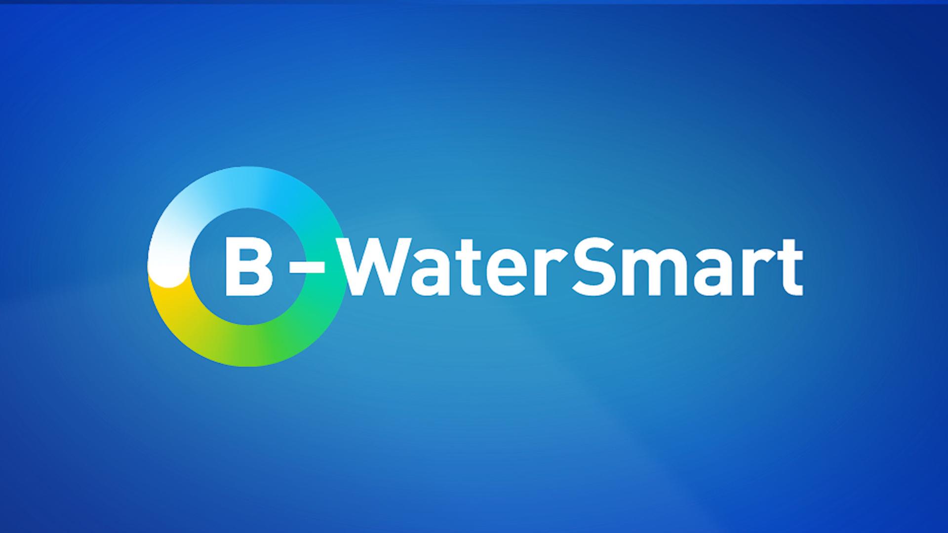 IWW Zentrum Wasser | Erklärvideo | B Water Smart – Bild 1