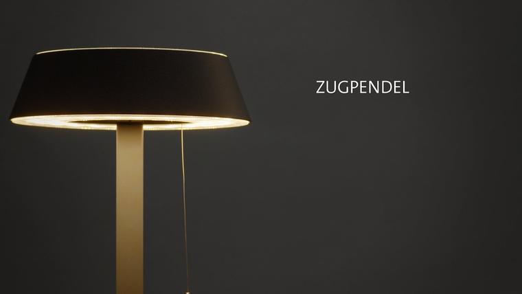 Servicevideo Zugpendel DE