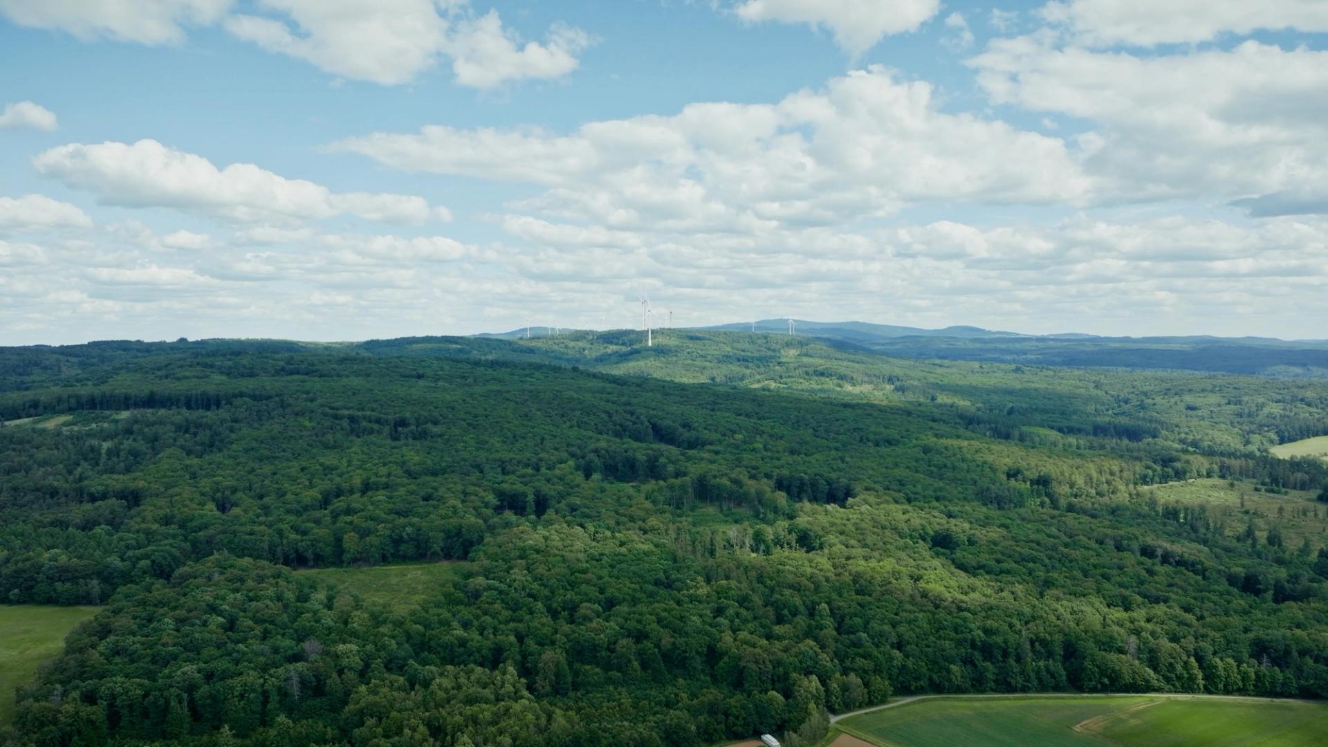 Forstservice Taunus GmbH | Imagefilm – Bild 2