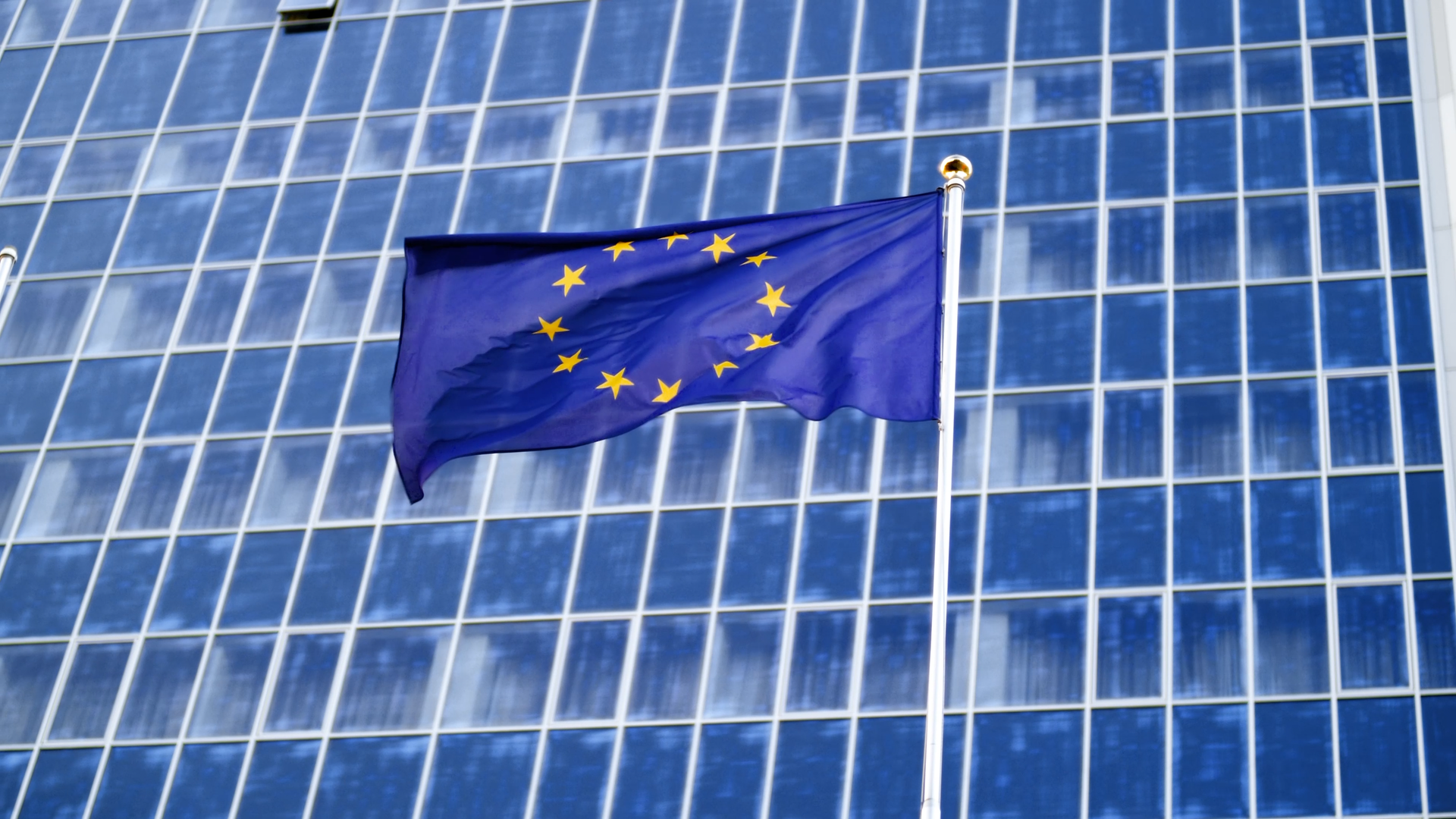 European Pirates Delegation | Social Media Content | 10 Years European Party – Bild 1