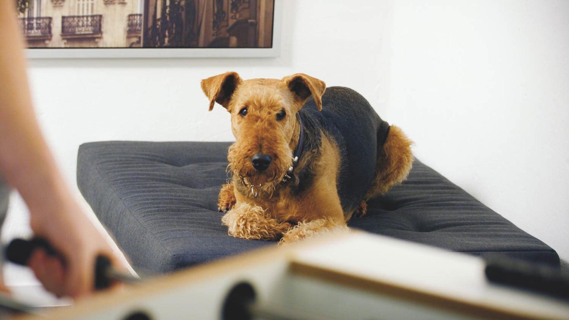 statmath | Recruitingfilm – Bild 4