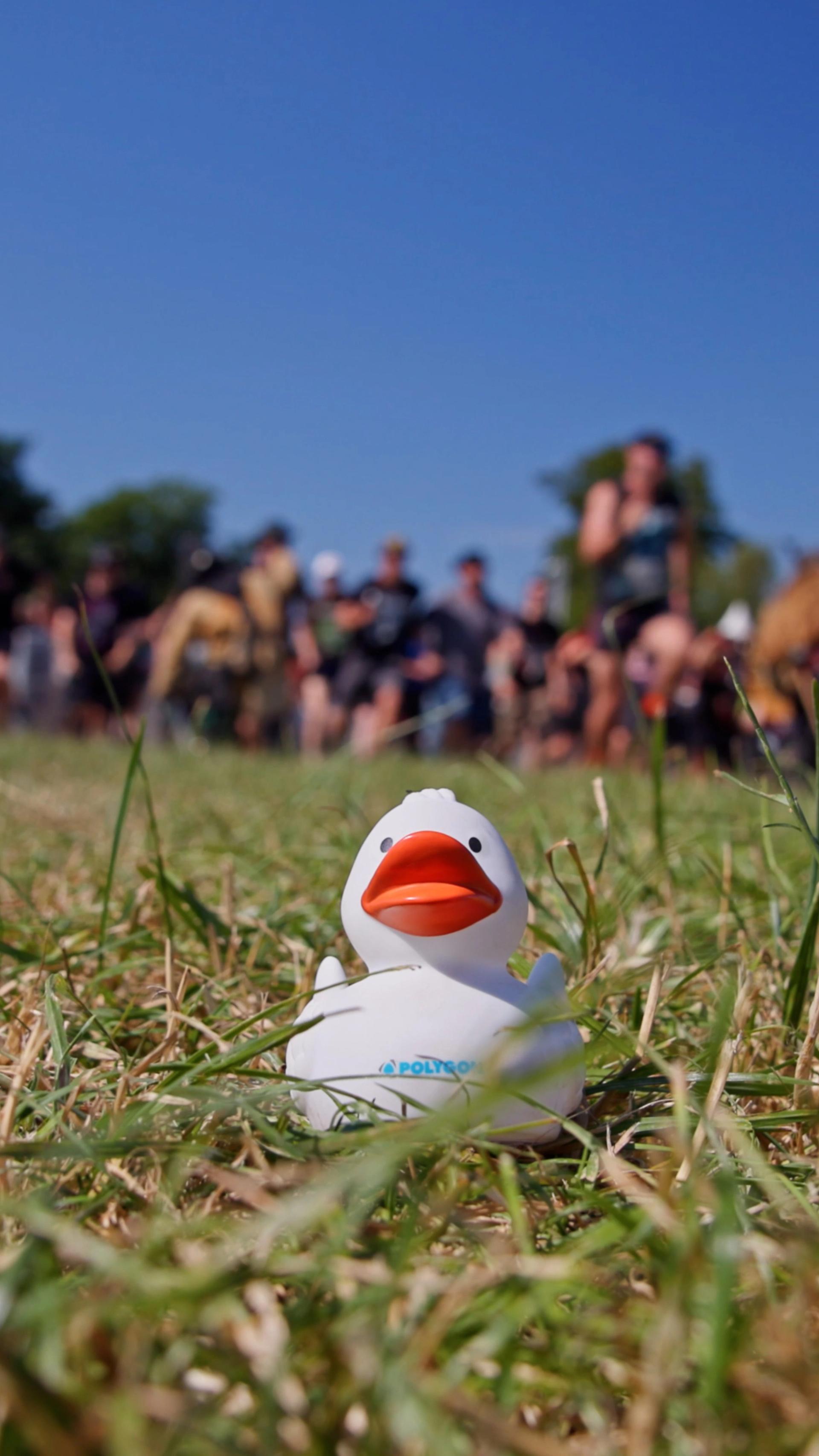 POLYGON | Social-Media-Content | Wacken Open Air – Bild 14