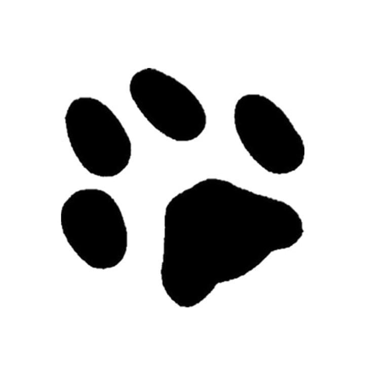 Tierarztpraxis THUL Logo