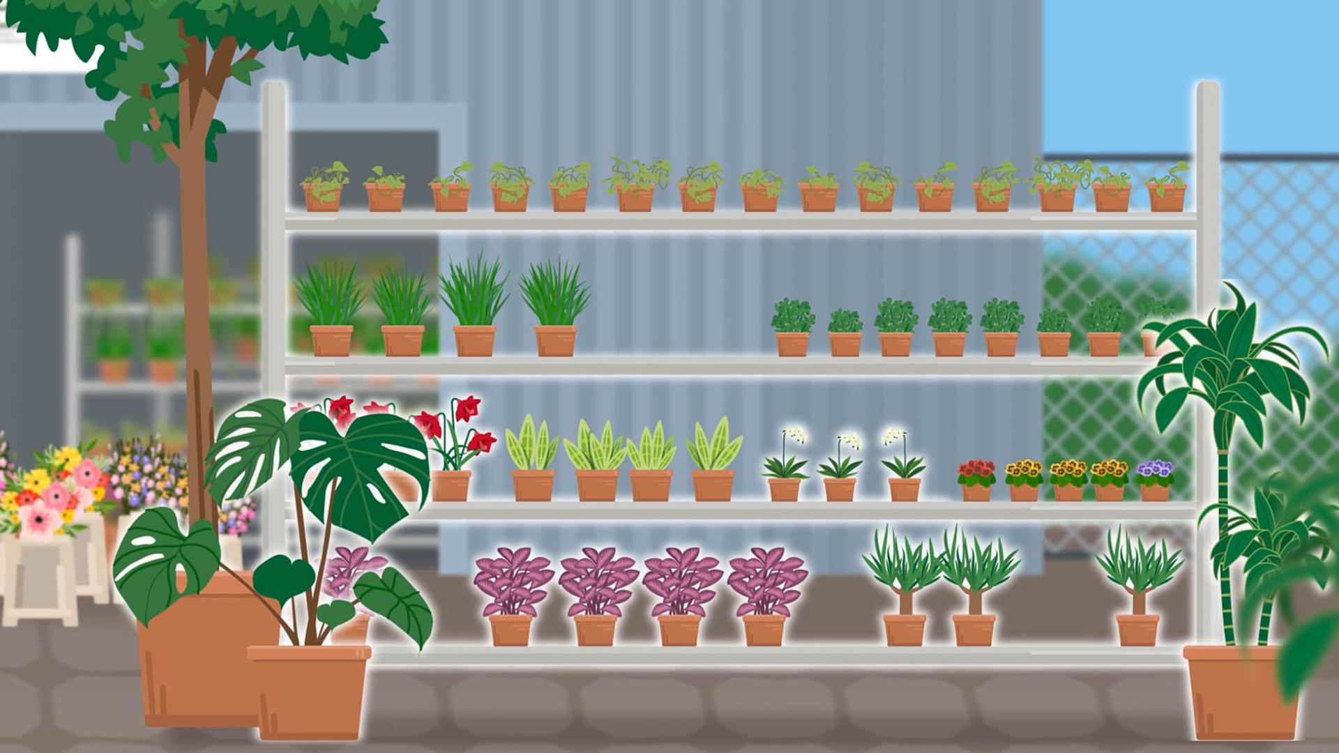 Dirk Schröder Blumen | Erklärvideo | Plantcare – Bild 1