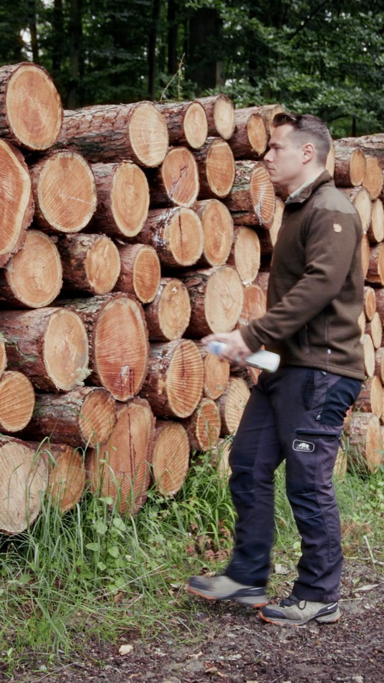 Holzvermarktung