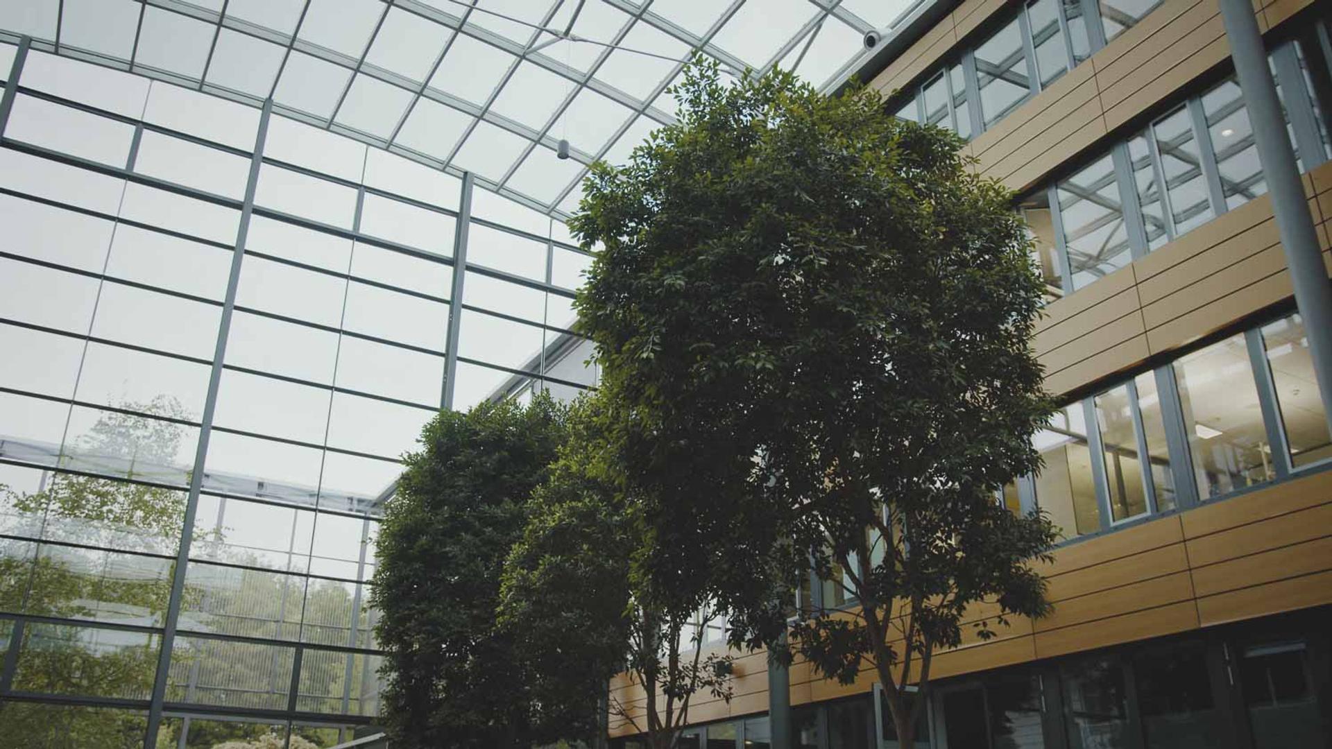 Enscape GmbH | Kundenstimmenvideo | GOLDBECK – Bild 1