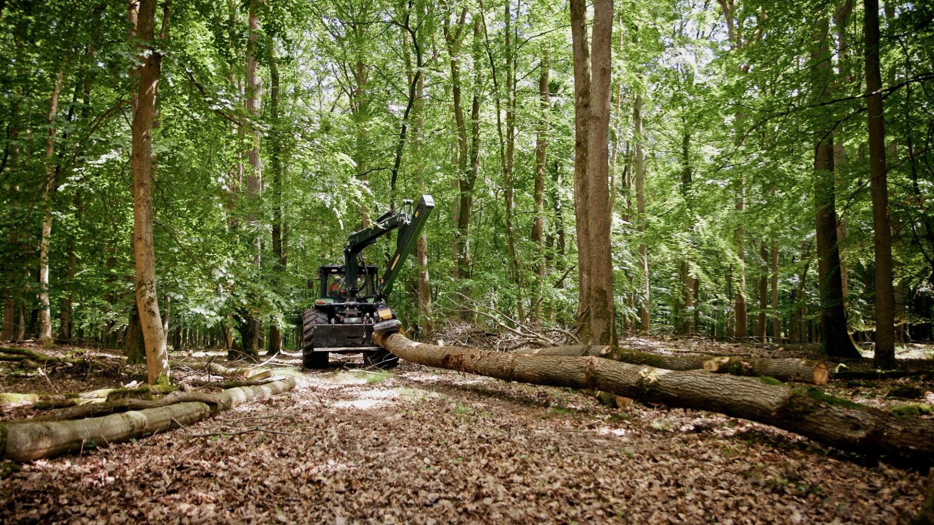 Forstservice Taunus GmbH | Imagefilm – Bild 8