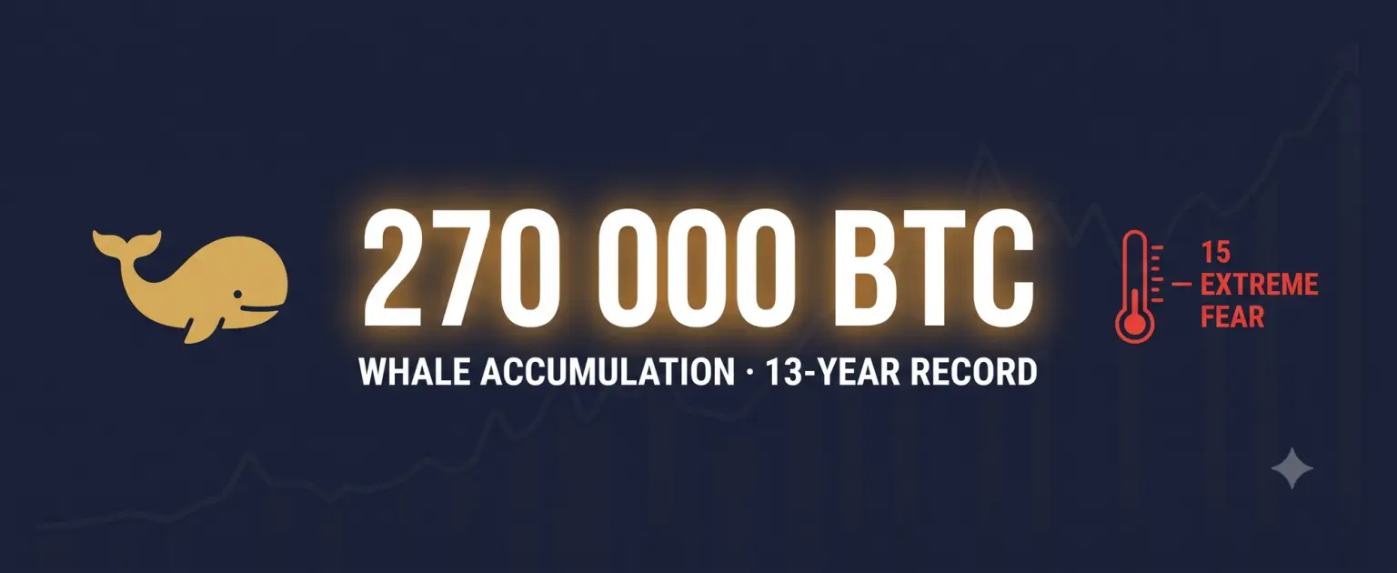 News cover: Whales Bought 270,000 BTC: Largest Accumulation in 13 Years as Market Panics