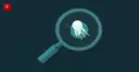 A calm teal magnifying glass examining a simple stylized amoeba cell shape, symbolizing careful clinical investigation into a rare pathogen