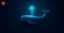 XRP breaks the key $1.13 level — analysts spot a new signal as whale selling dries up