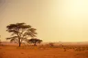 Africa Overtakes Latin America to Lead the World in P2P Bitcoin Trading