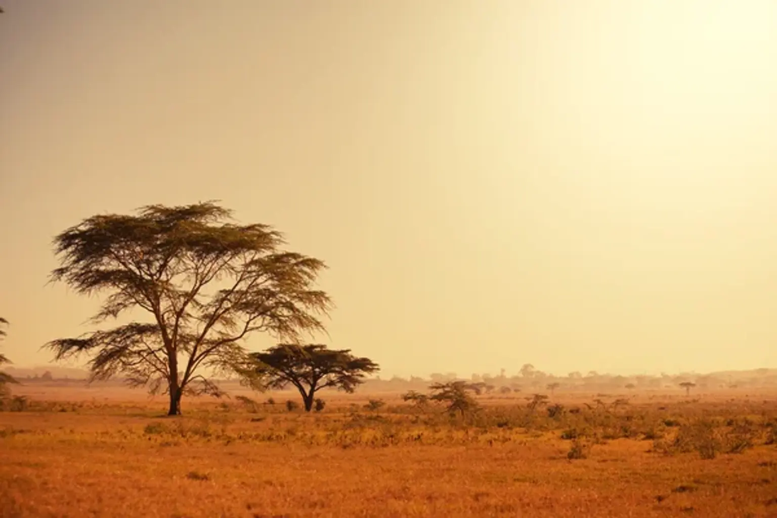 News cover: Africa Overtakes Latin America to Lead the World in P2P Bitcoin Trading