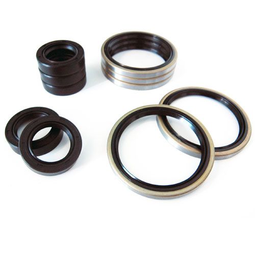 Oil Seal