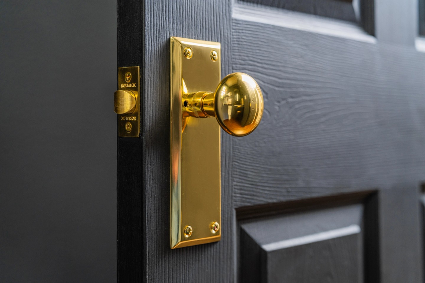 GINGKO landscape, brass handle close-up