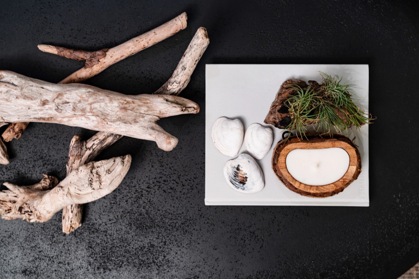 ORGANIC landscape overhead coffee table