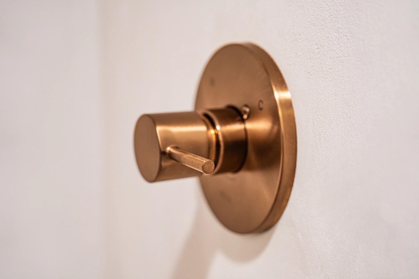 CLUB landscape shower handle close-up