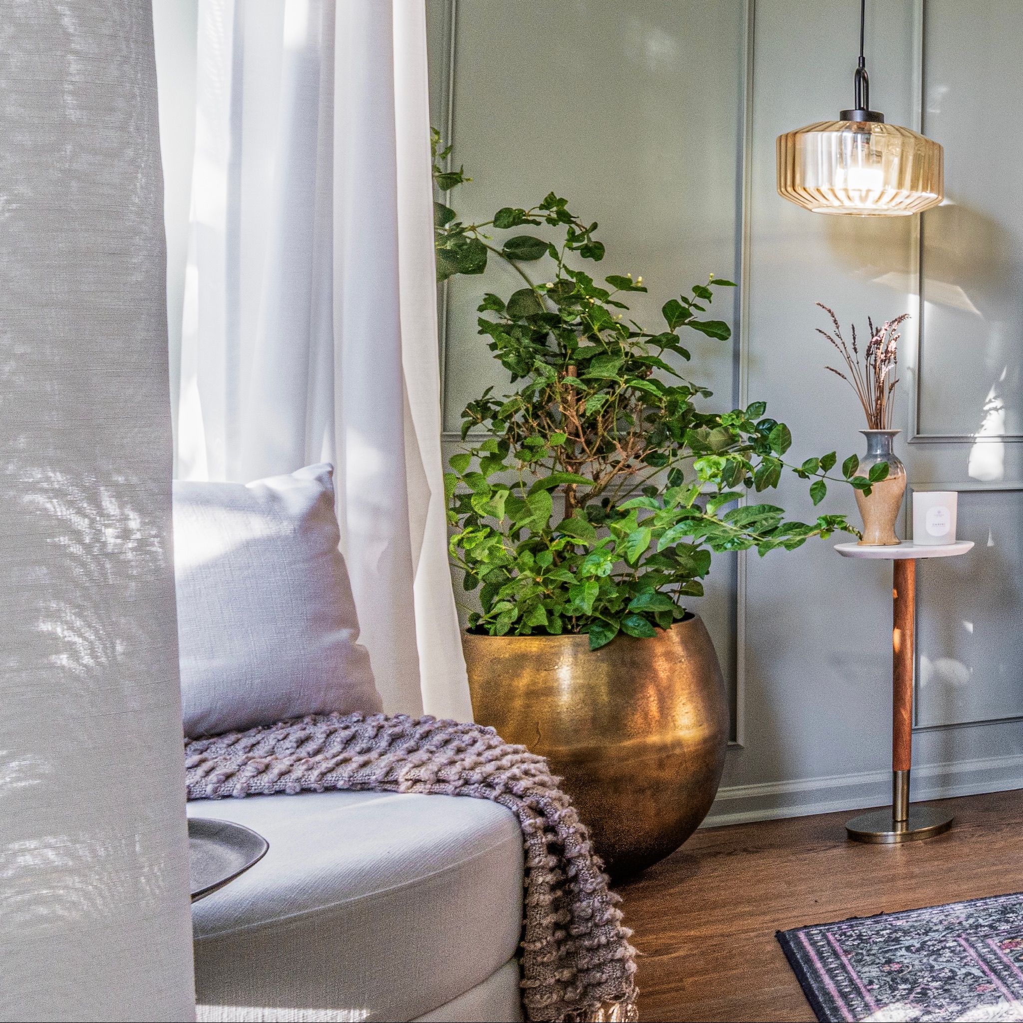 MOODY square, chaise and plant with gold pot