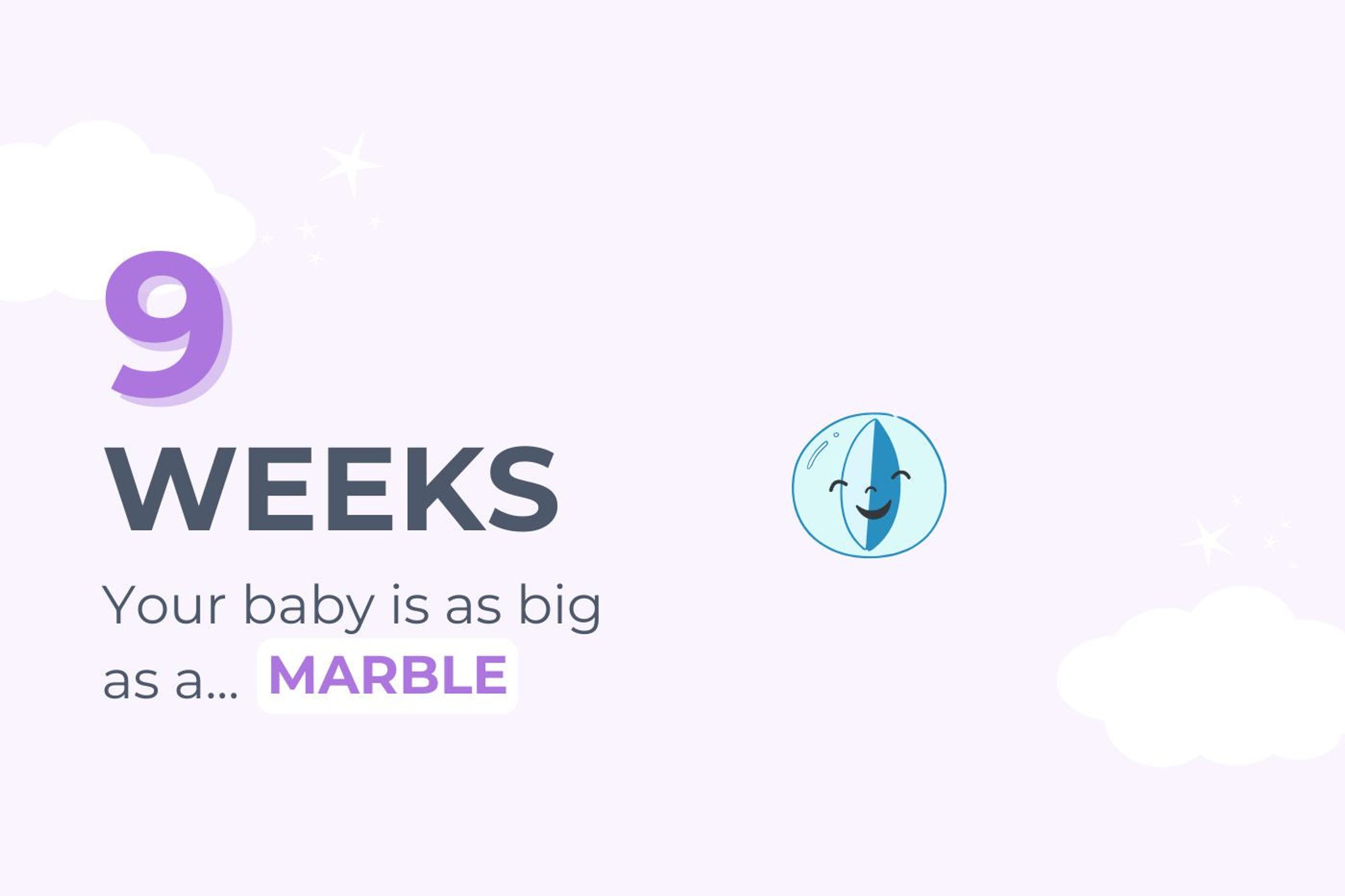 9 weeks pregnant: Your baby is as big as a marble