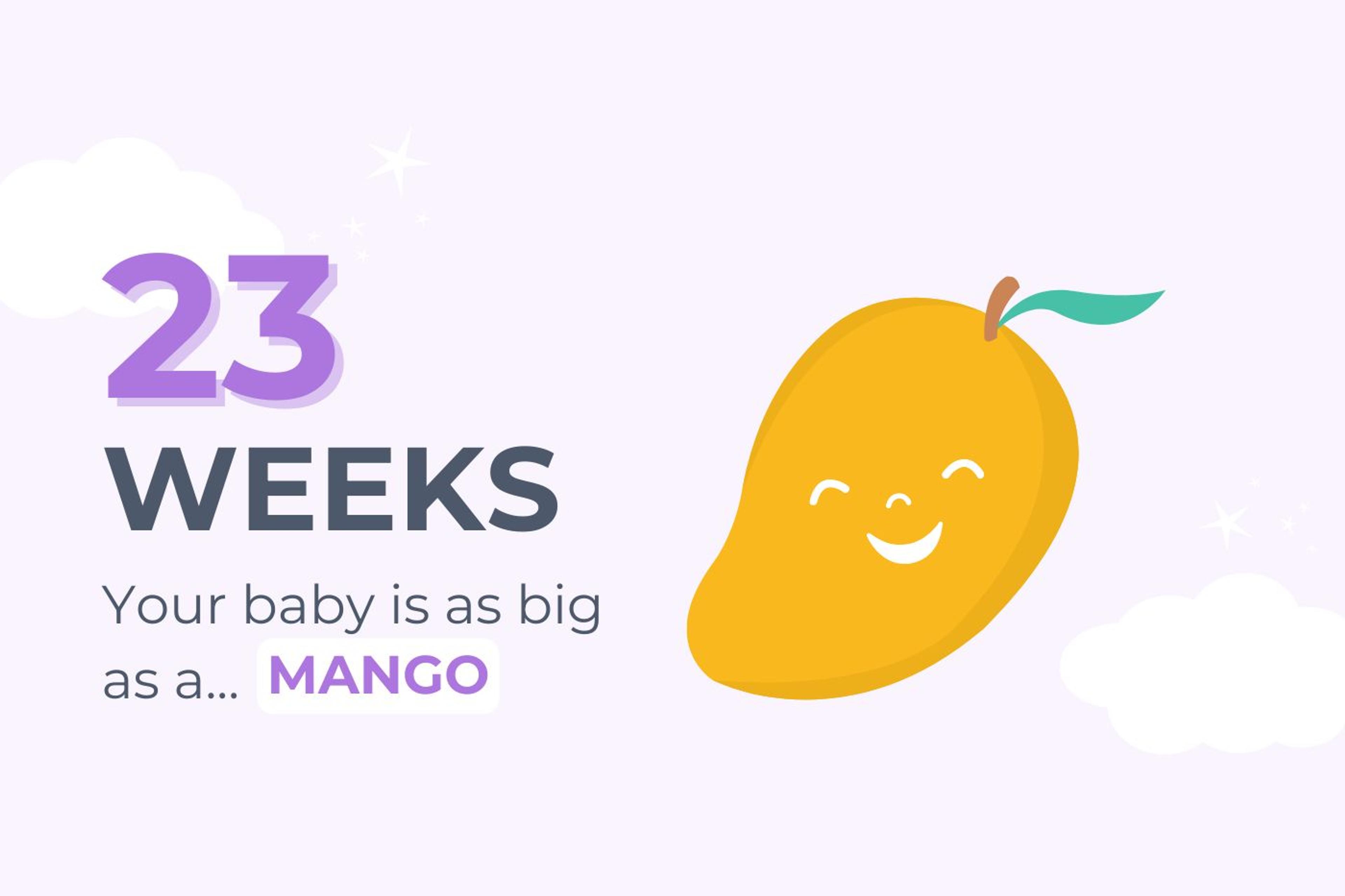 23 weeks: Your baby is the size of a mango