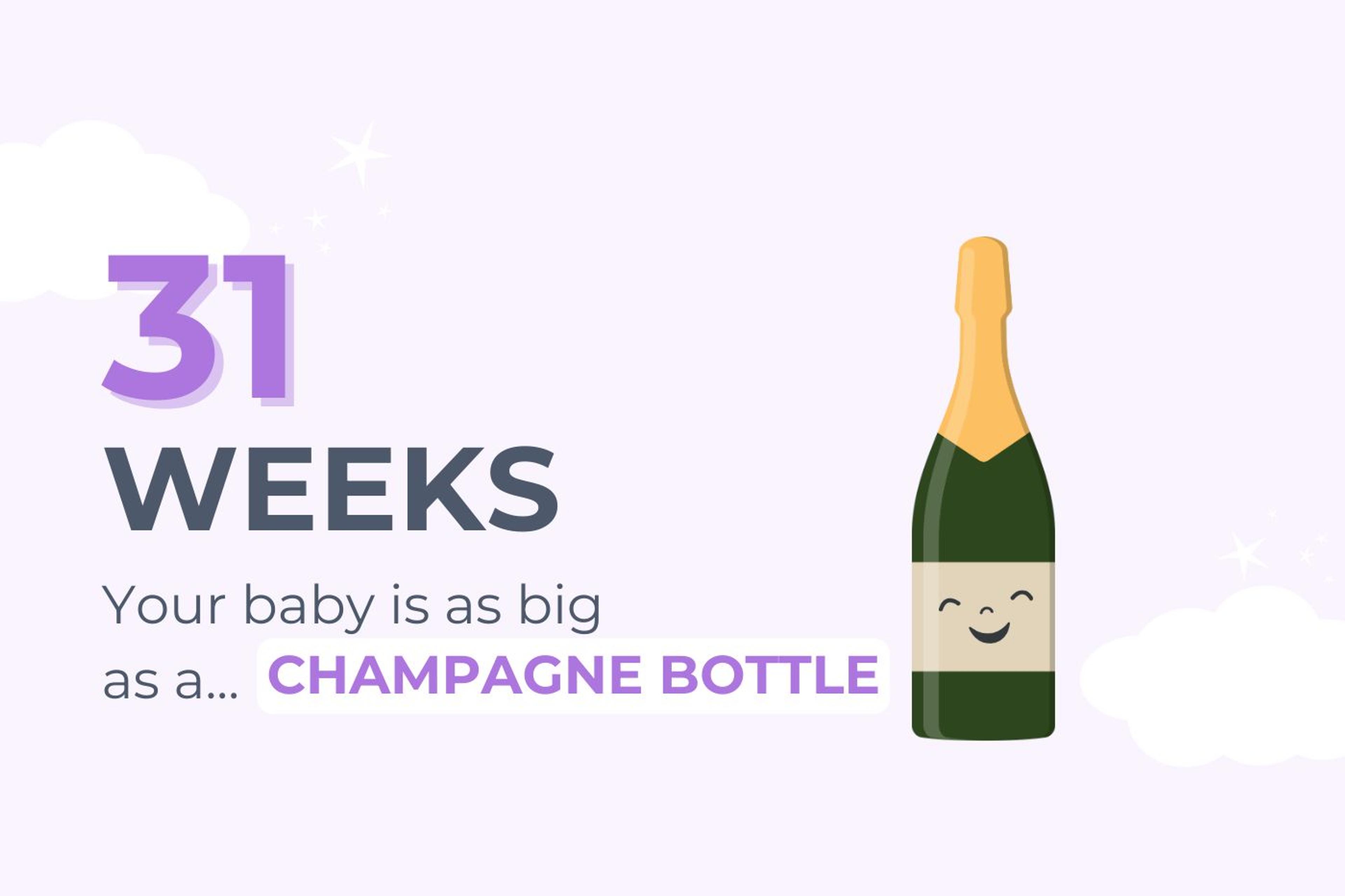 31 Weeks Pregnant: Your Baby is as big as a champagne bottle