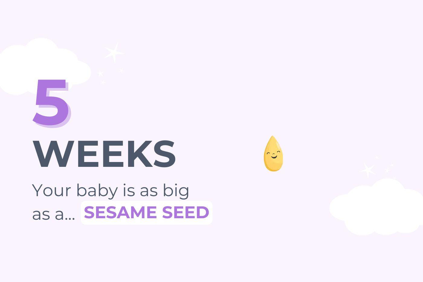 Graphic that says 5 weeks pregnant: Your baby is as big as a sesame seed