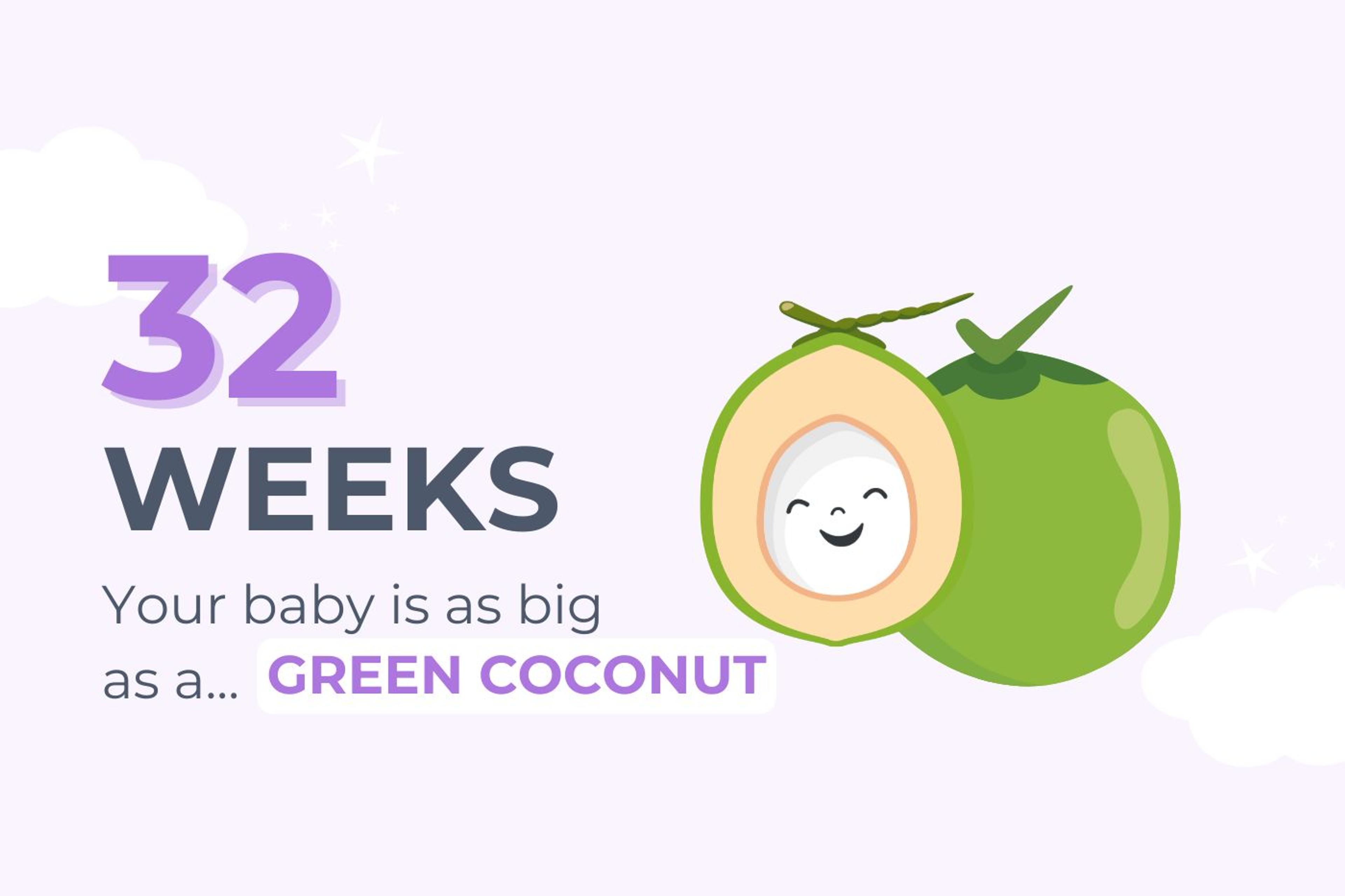 32 weeks pregnant: Your baby is as big as a green coconut
