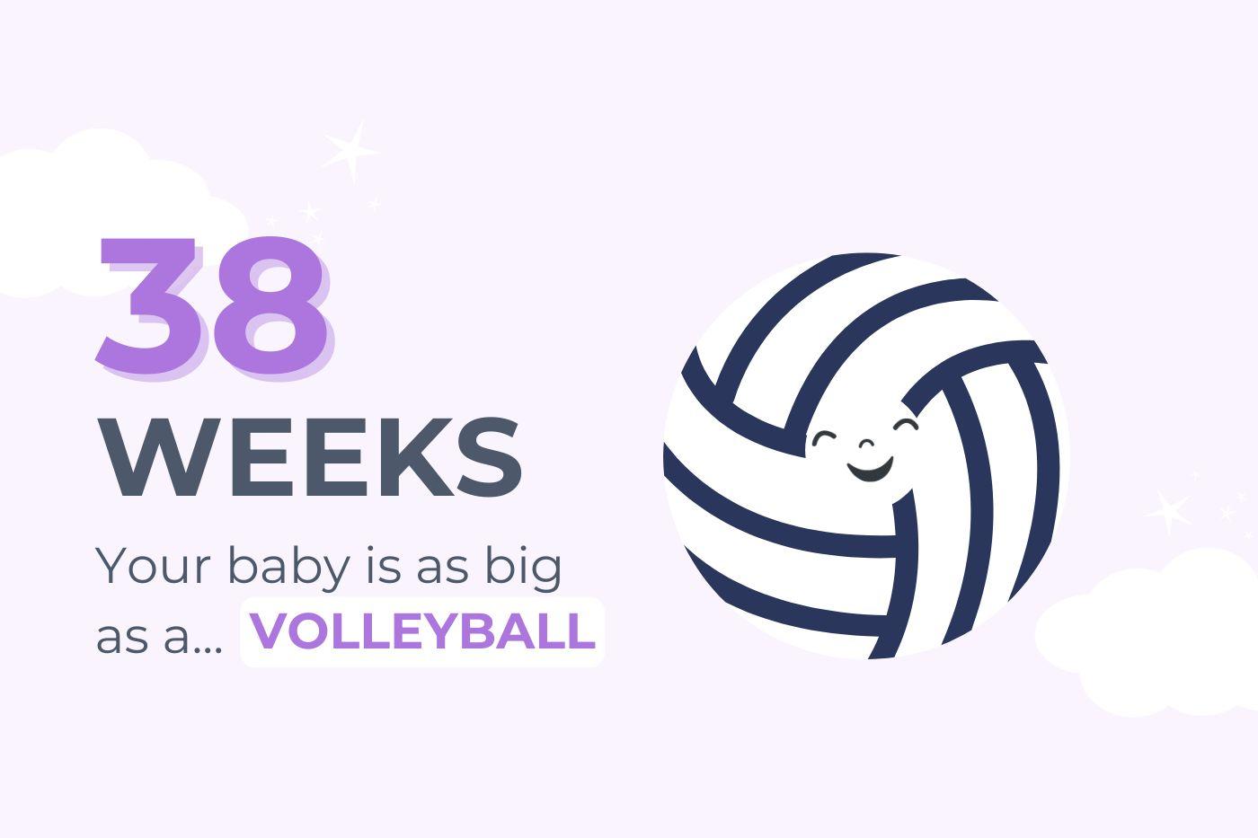 38-weeks-pregnant-your-baby-is-as-big-as-a-volleyball