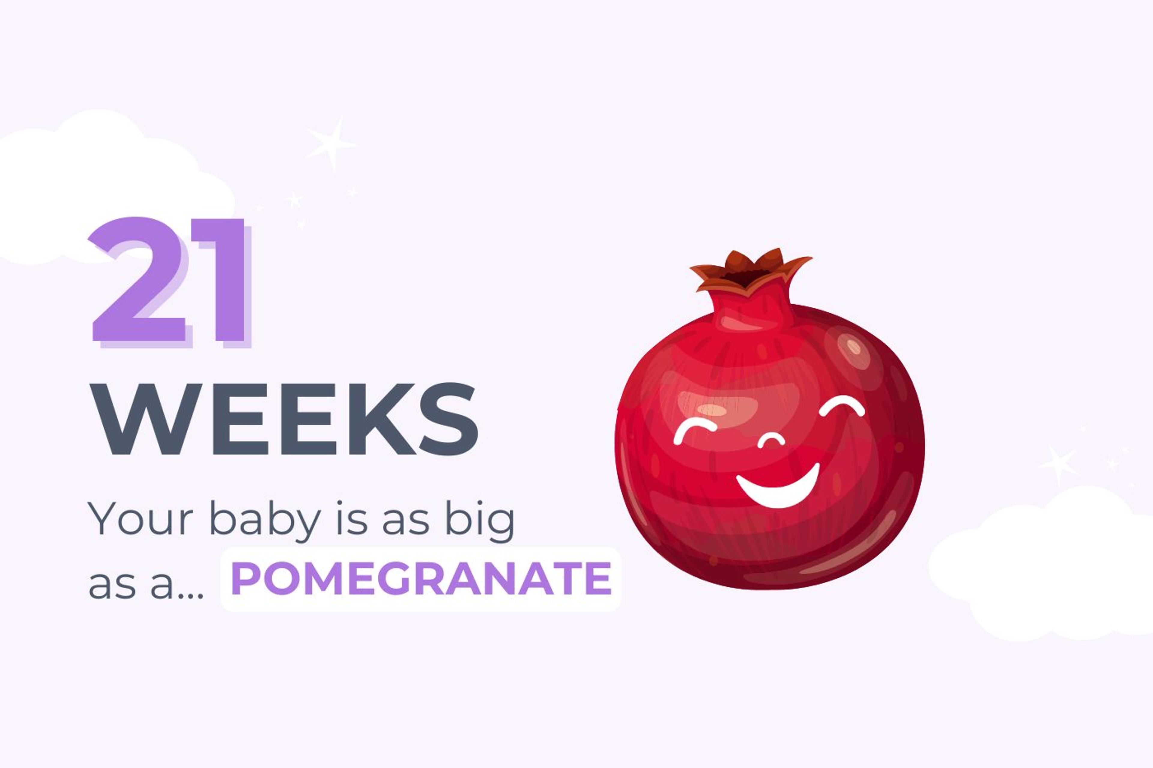 21 Weeks Pregnant: Your Baby is as big as a pomegranate