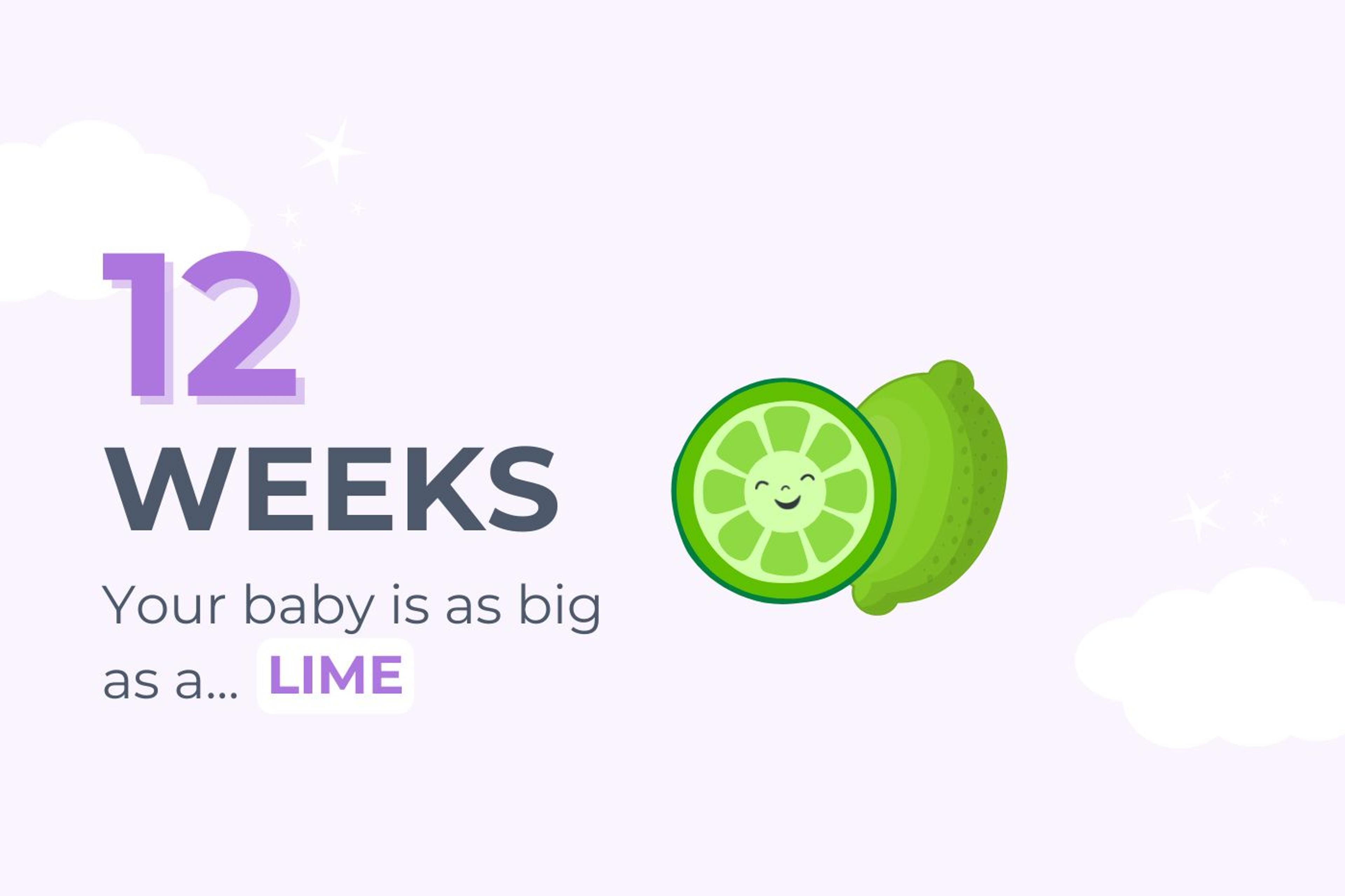 12-weeks-pregnant-your-baby-is-as-big-as-a-lime