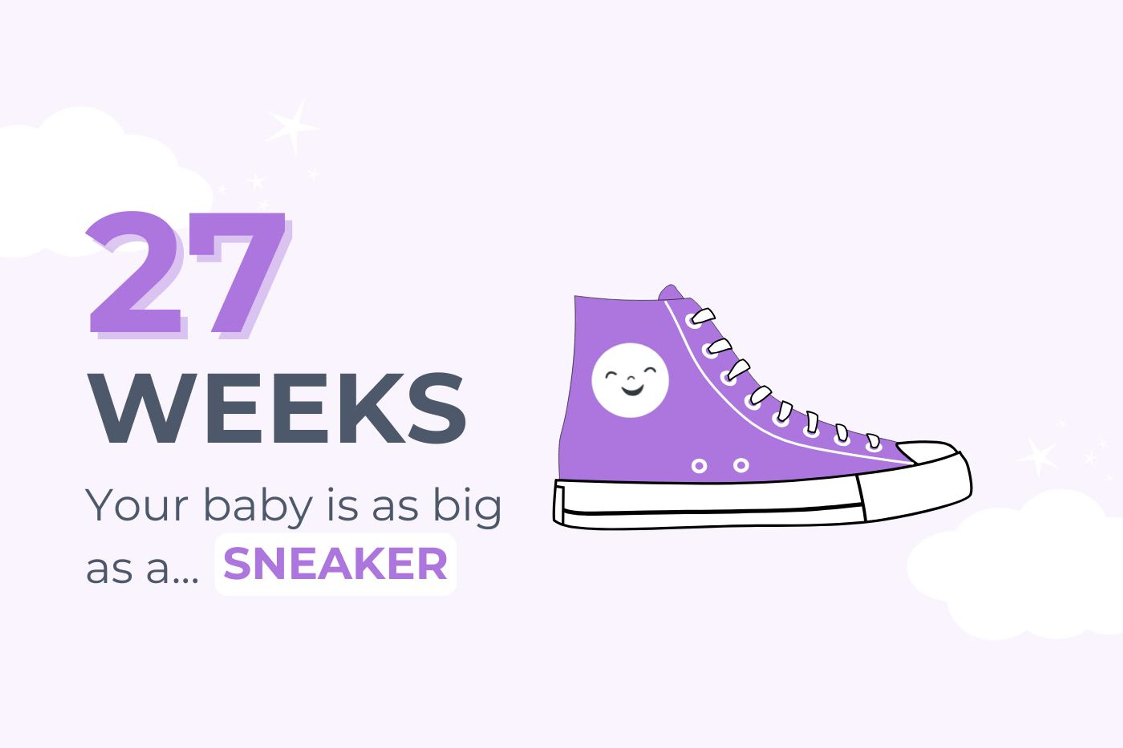 27-weeks-pregnant-your-baby-is-as-big-as-a-sneaker