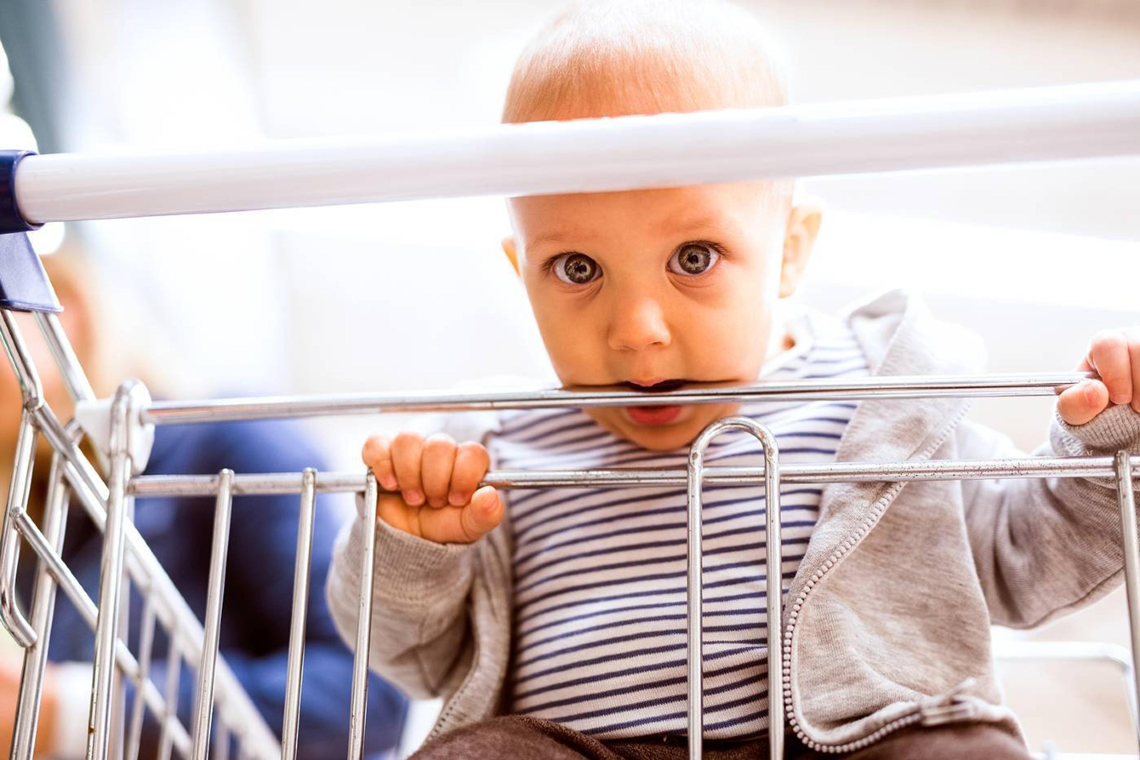 baby in a shopping cart
