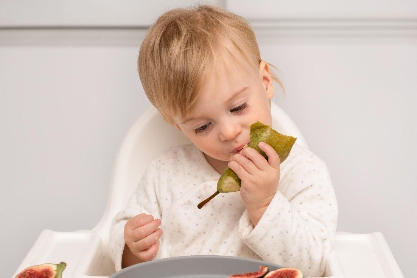 Baby eats a pear