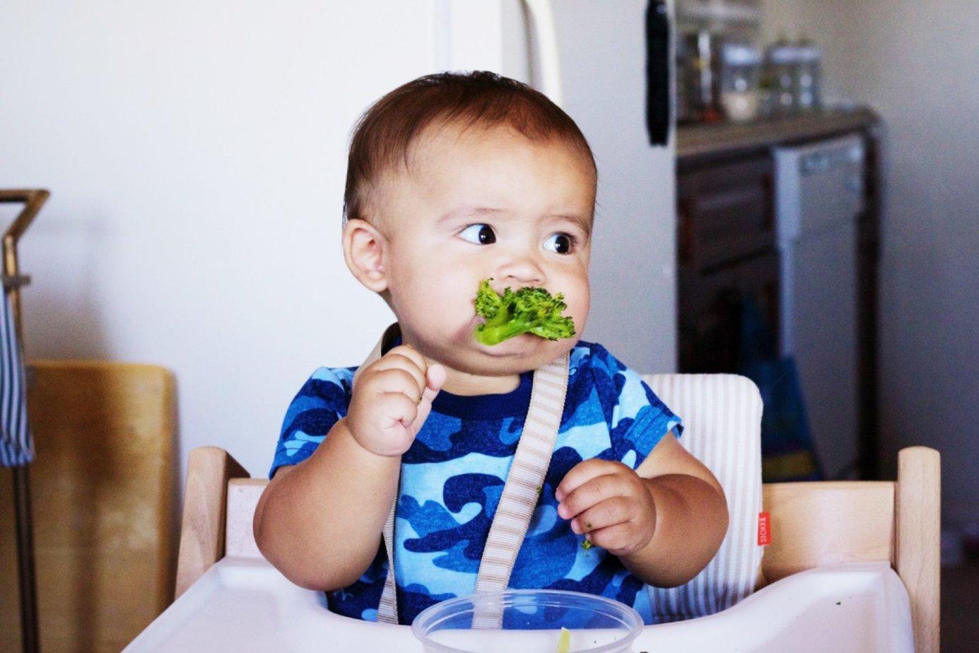A baby eats a piece of broccoli