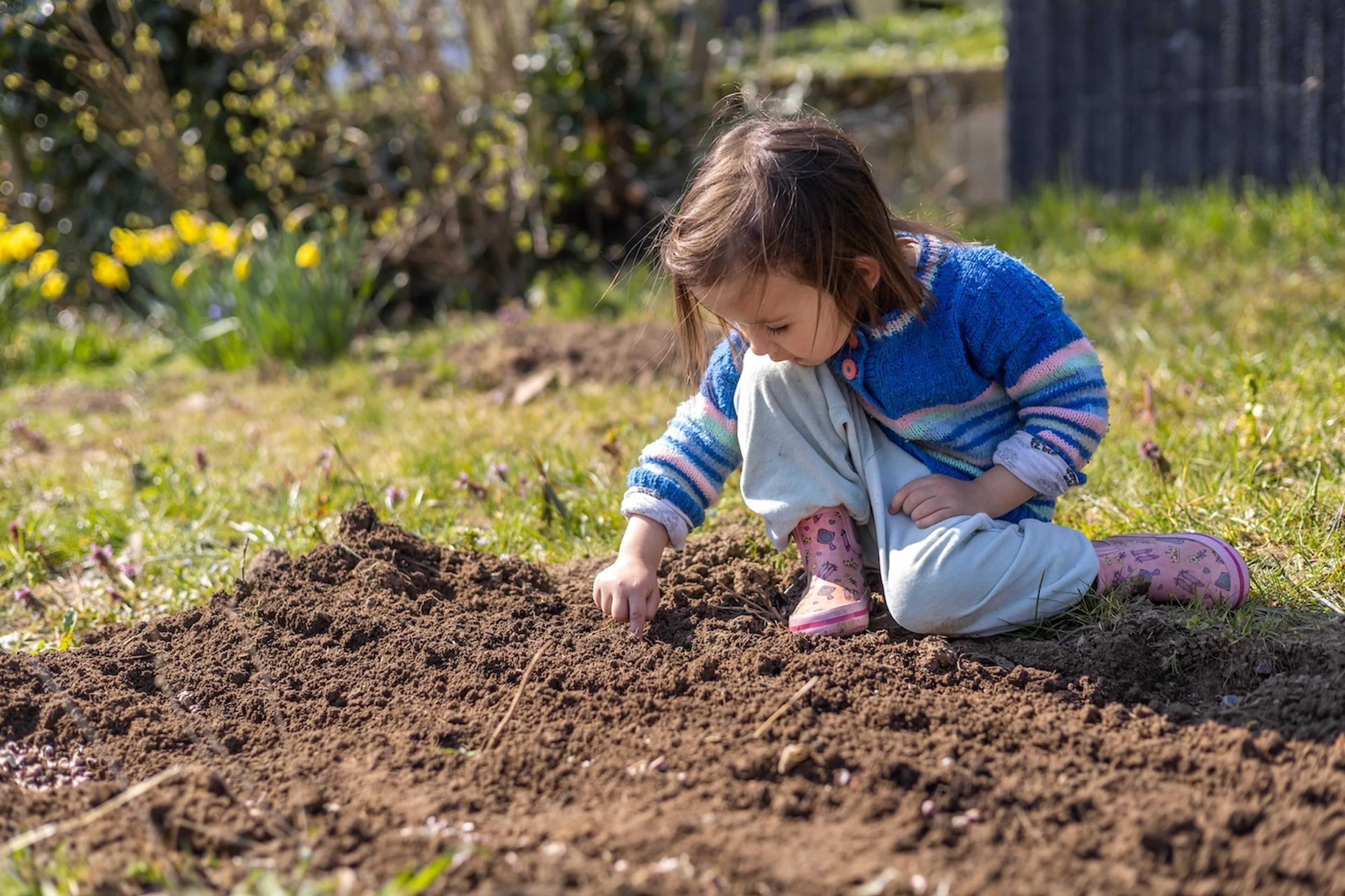 Toddler girl playing in the dirt