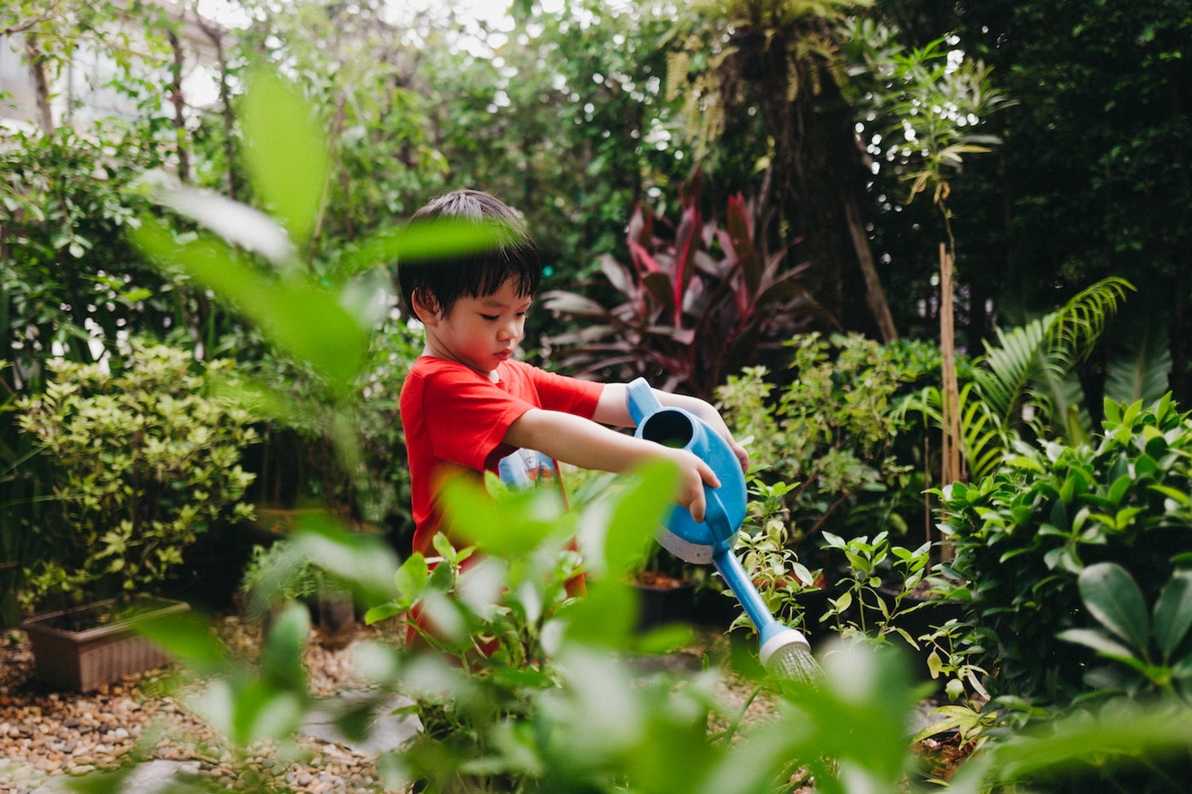 Little boy waters plants in a garden