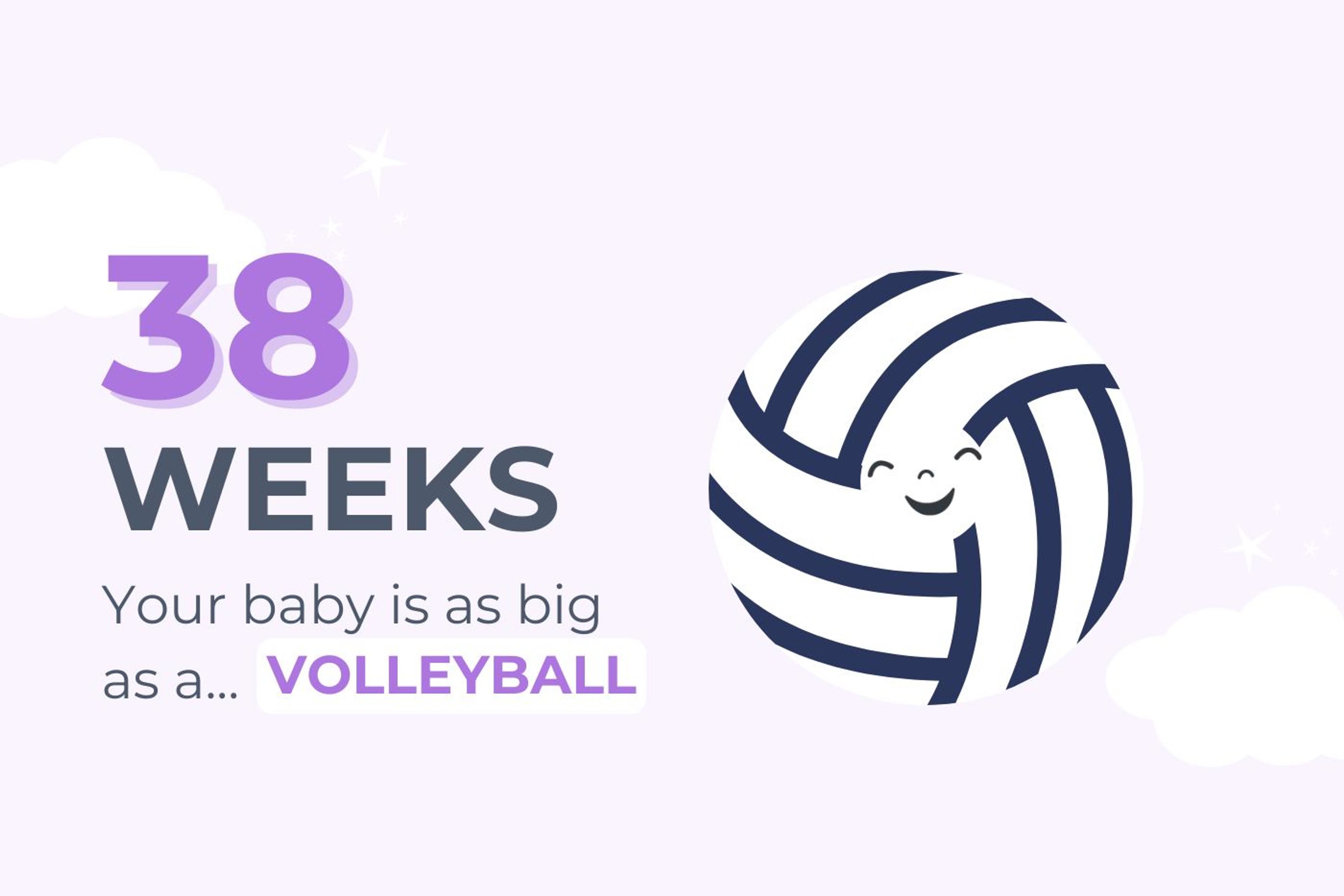 38 Weeks Pregnant: Your baby is as big as a volleyball