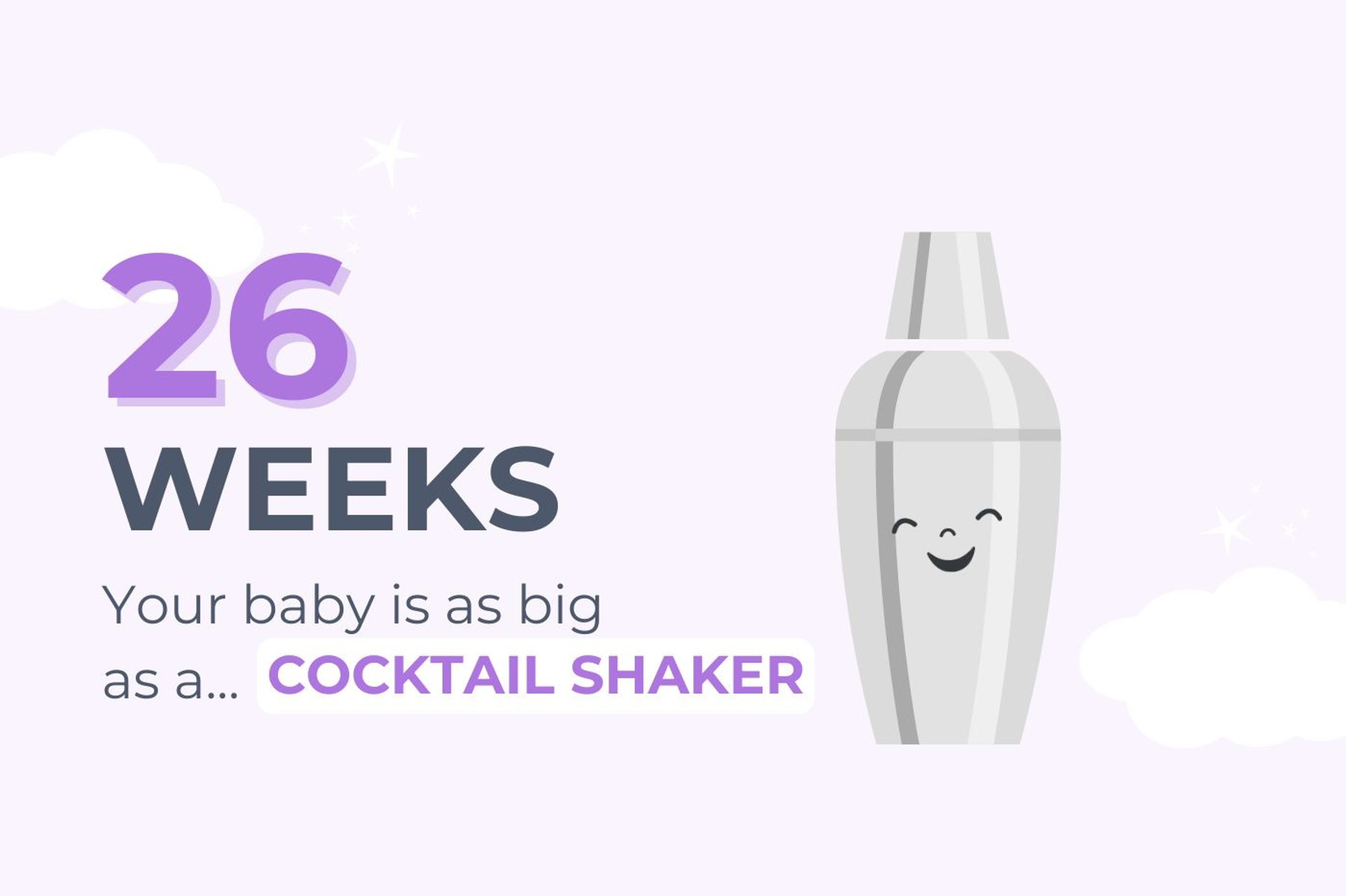 26 Weeks Pregnant: Your baby is as big as a cocktail shaker